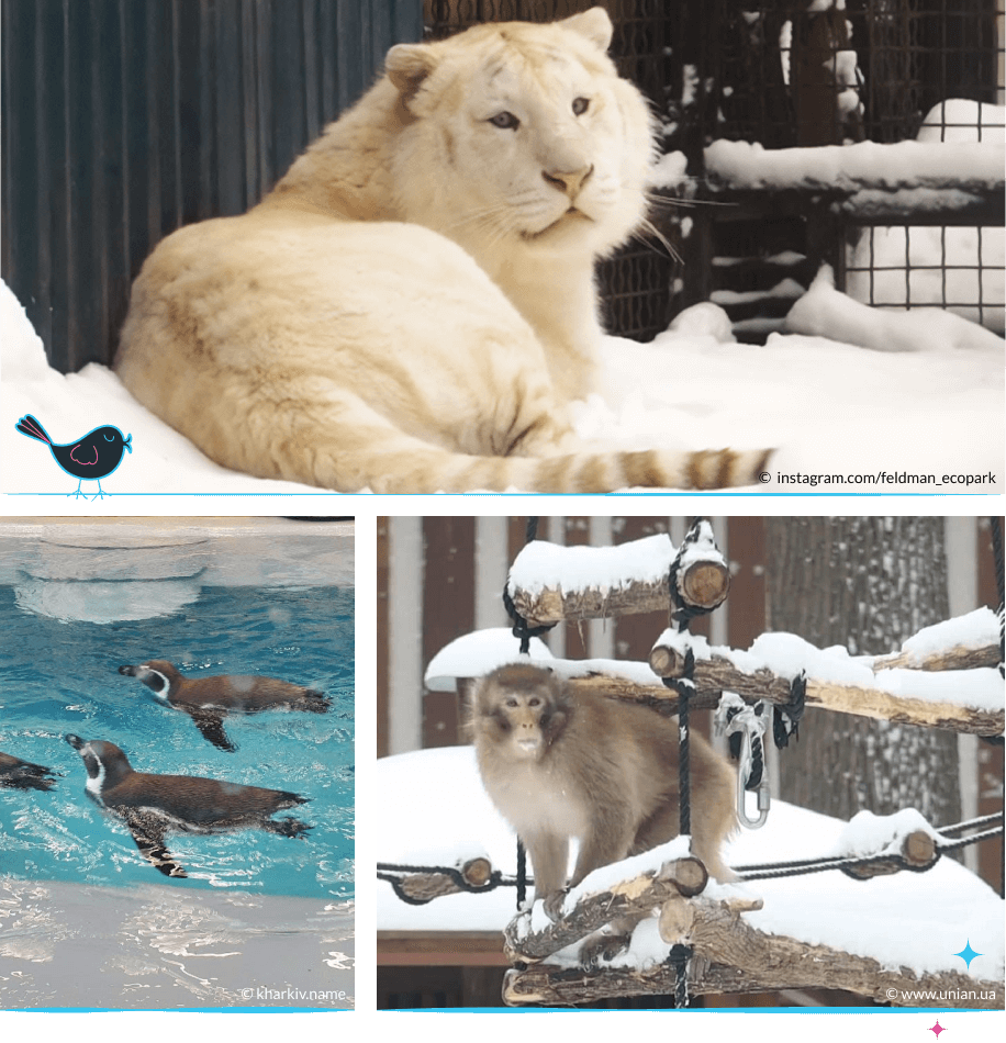 локации Харькова