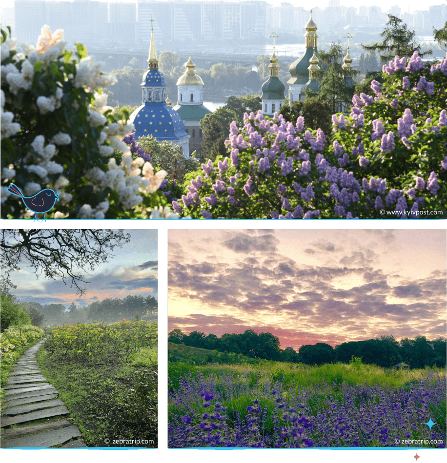 локации Киева