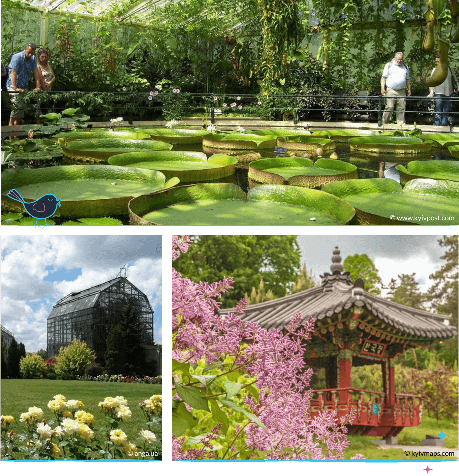 локации Киева