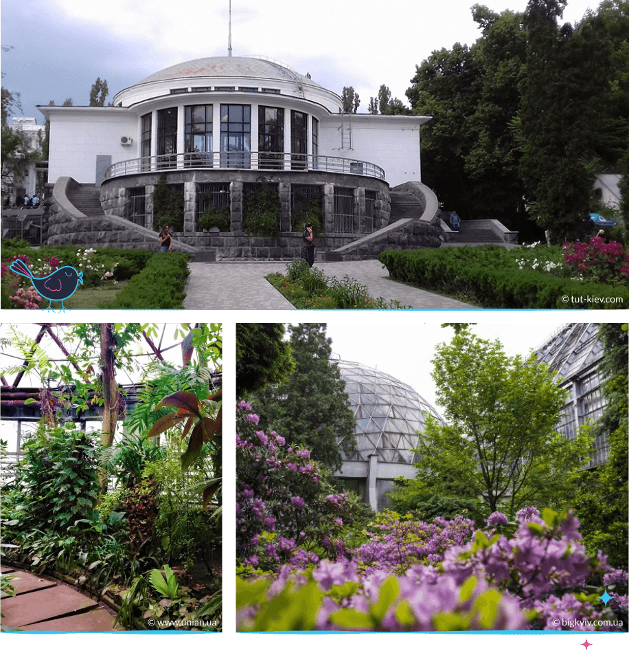 локации Киева