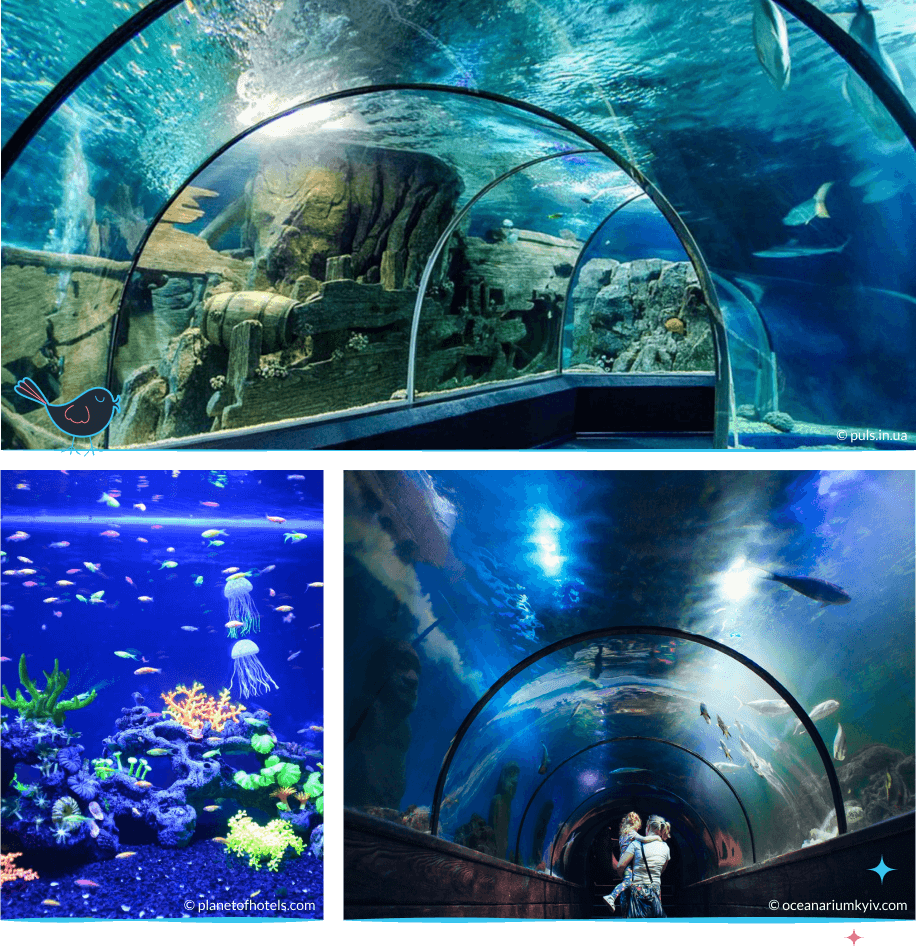 локации Киева