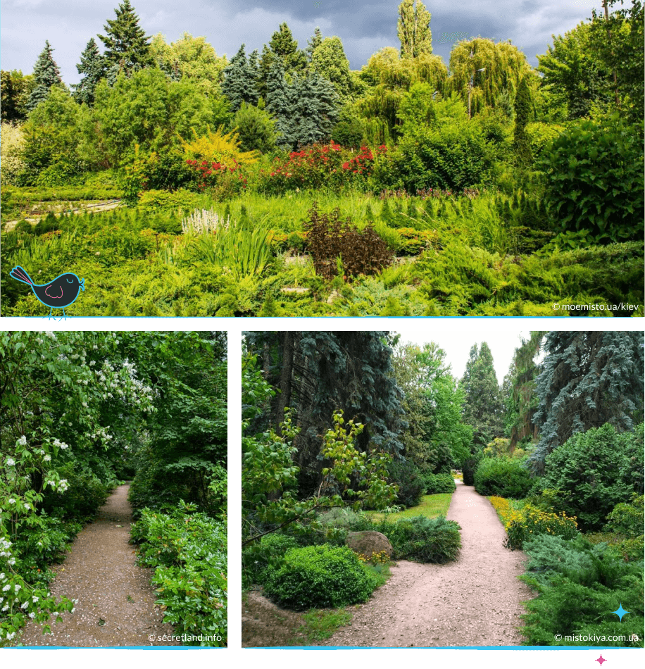 локации Киева