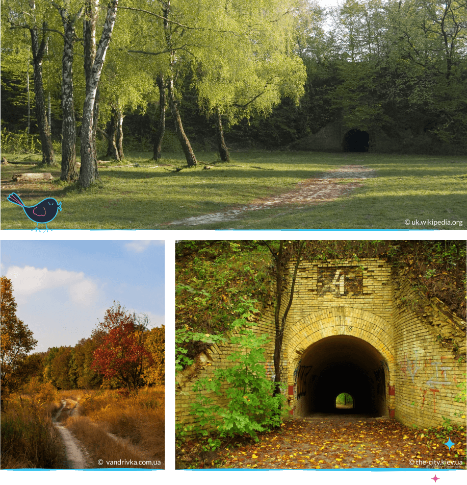 локации Киева