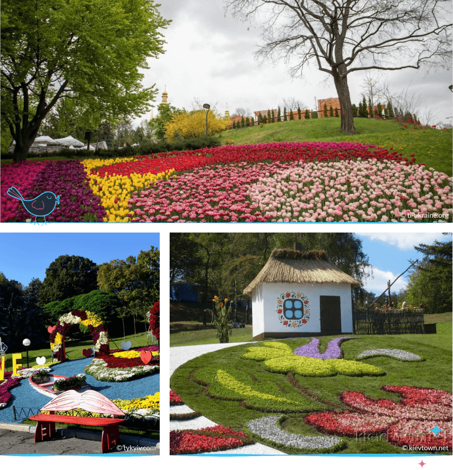 локации Киева