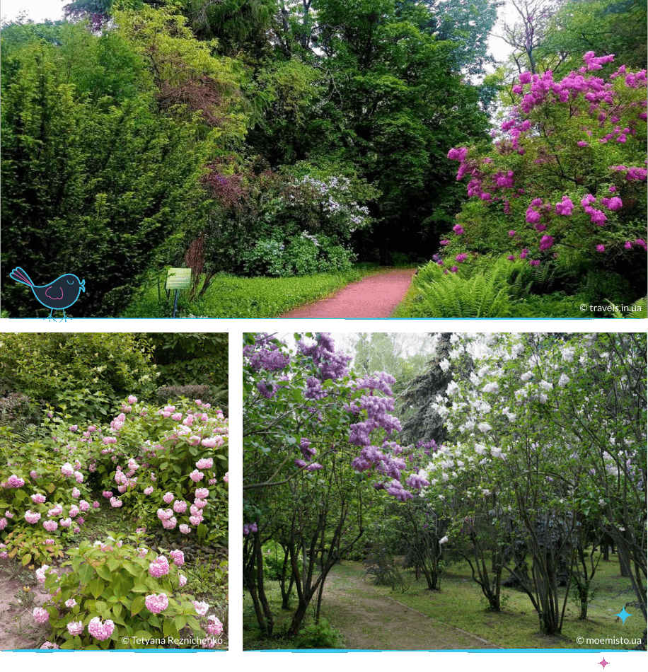 локации Киева