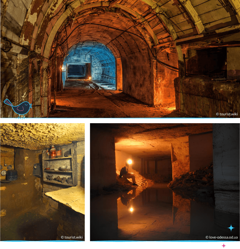 локации Одессы