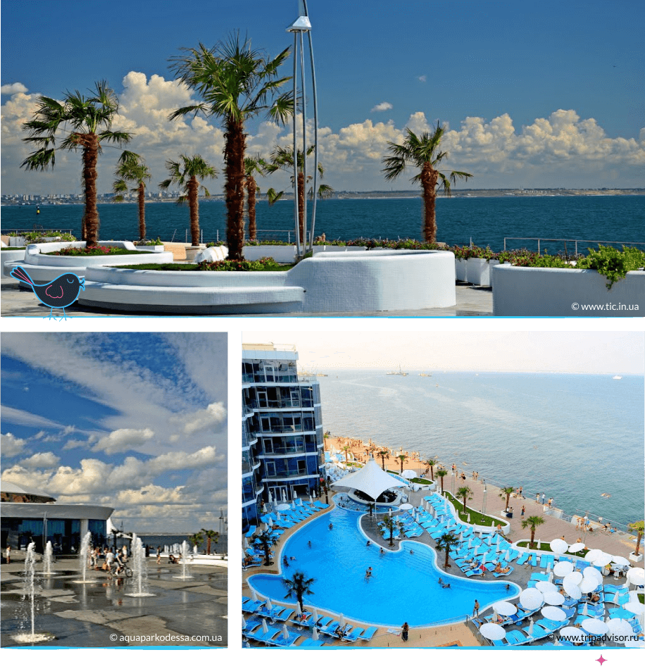 локации Одессы