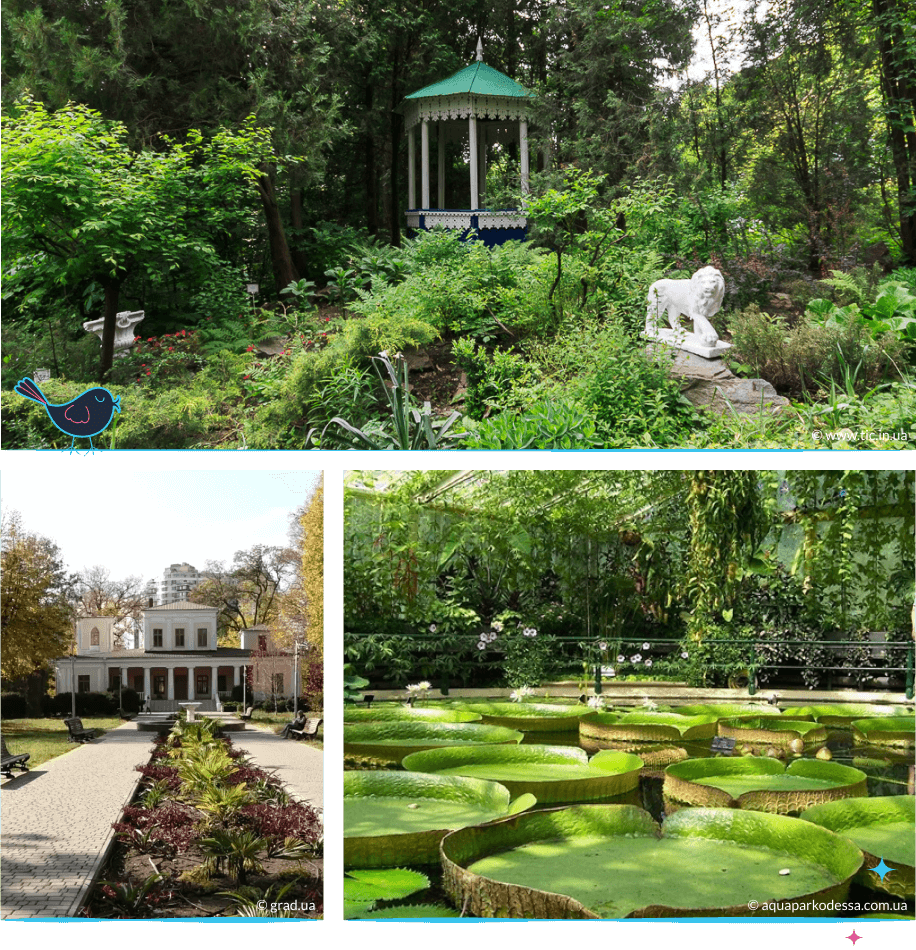 локации Одессы