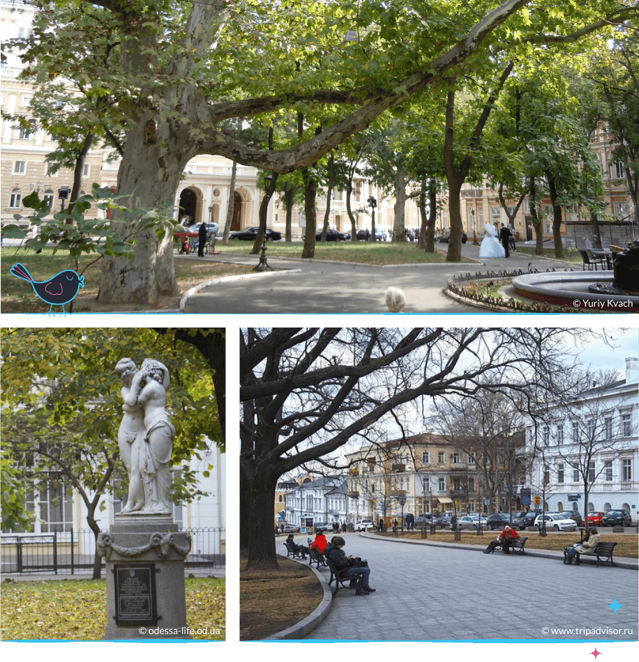 локации Одессы