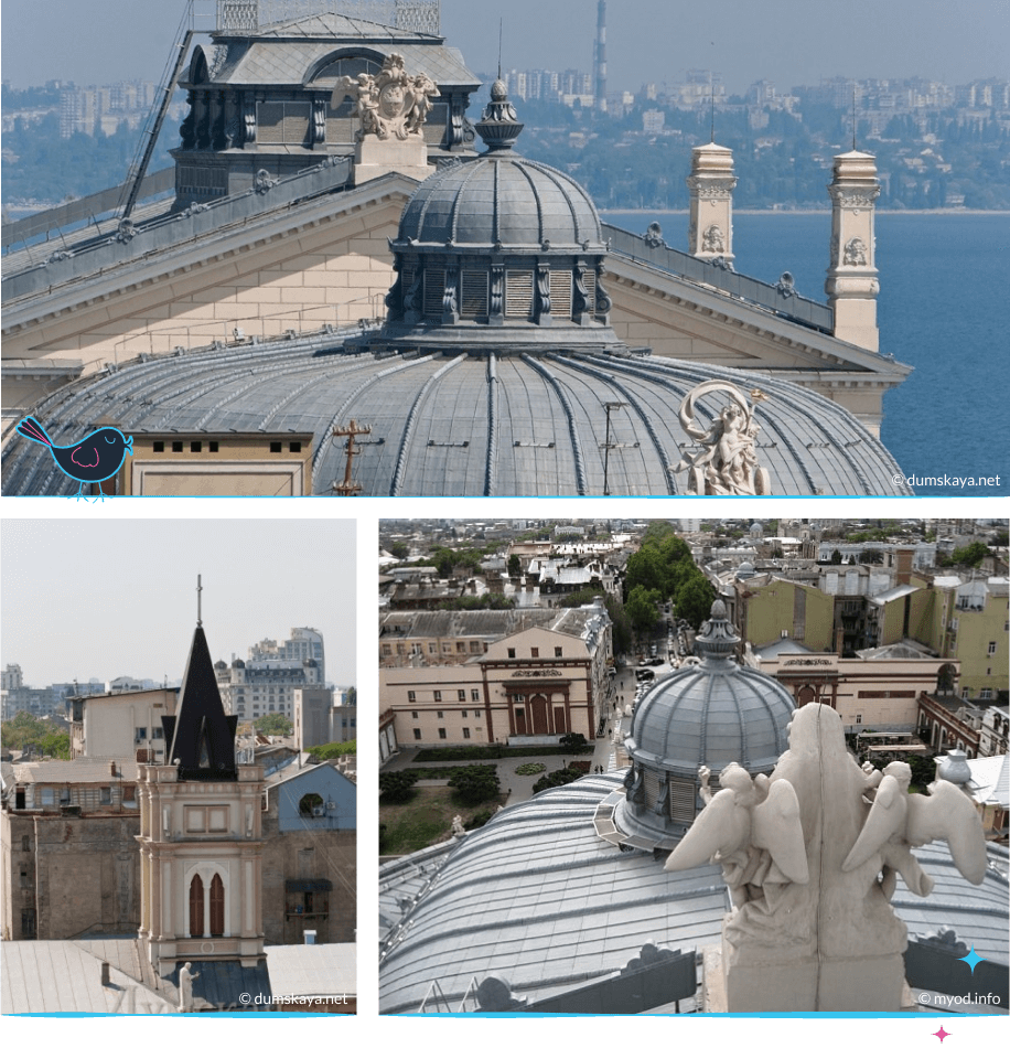 локации Одессы