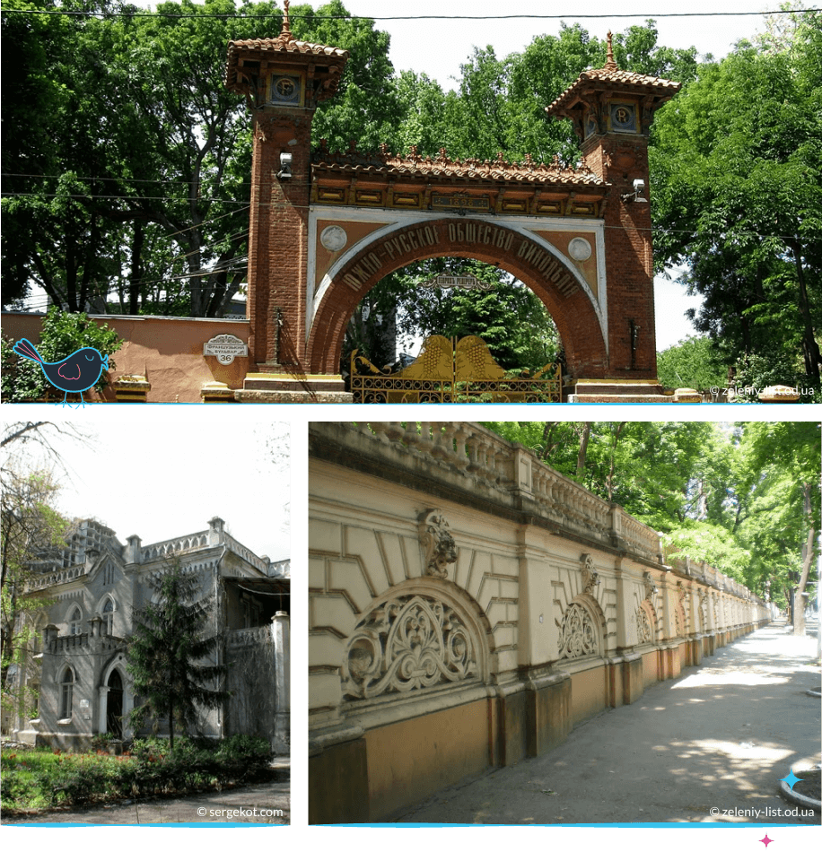 локации Одессы