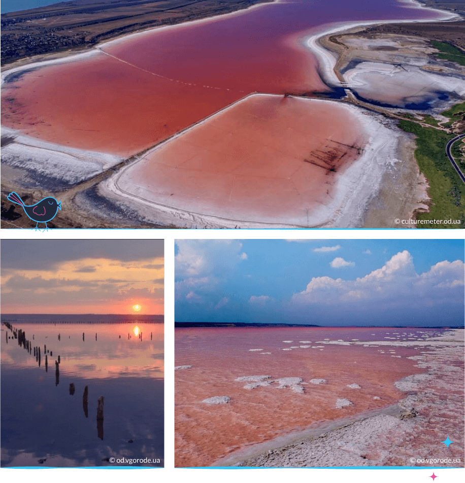 локации Одессы