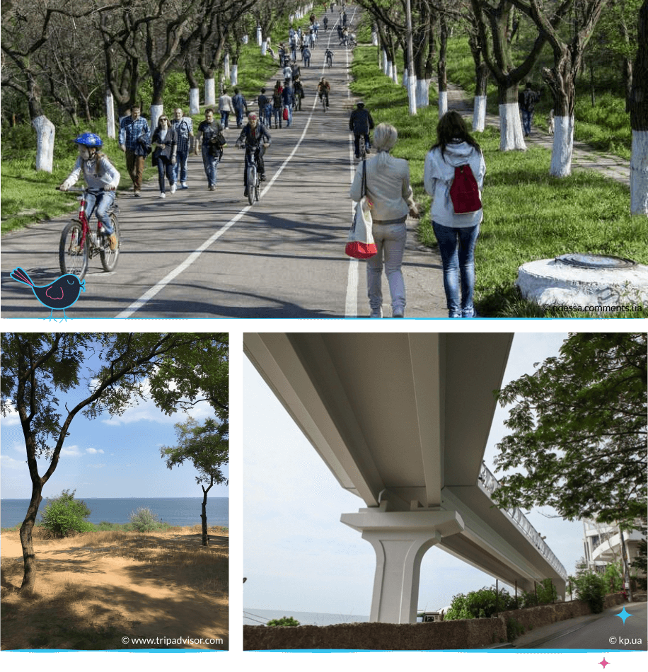 локации Одессы