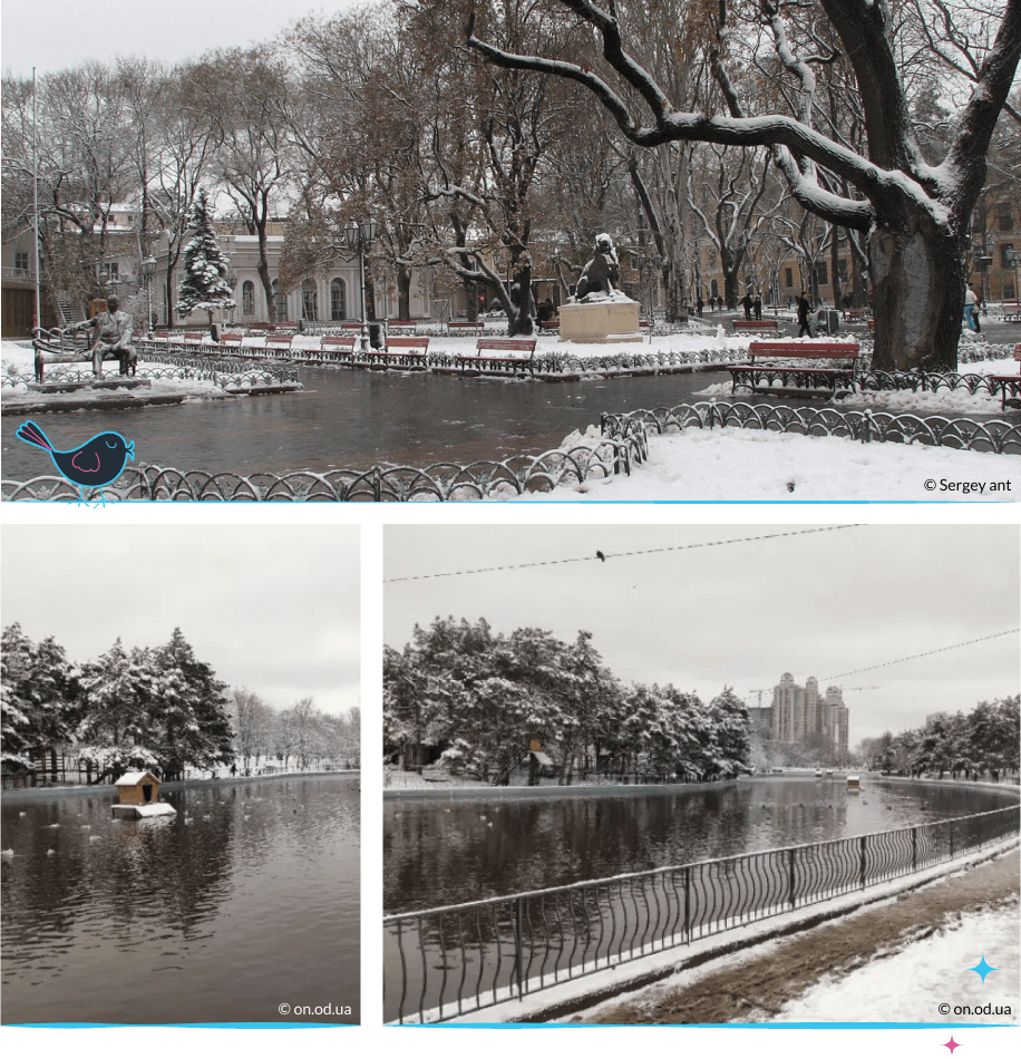 локации Одессы