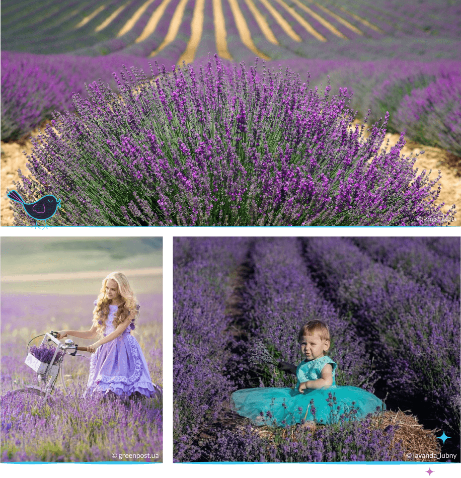 локации Полтава