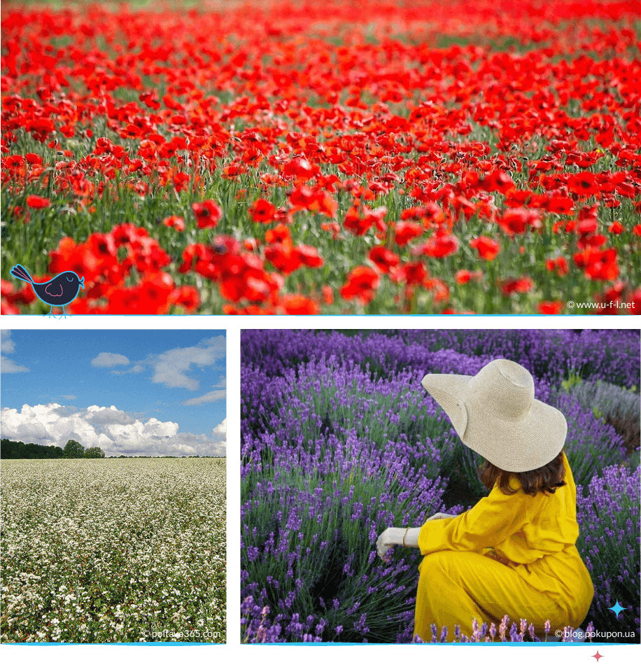 локации Полтава