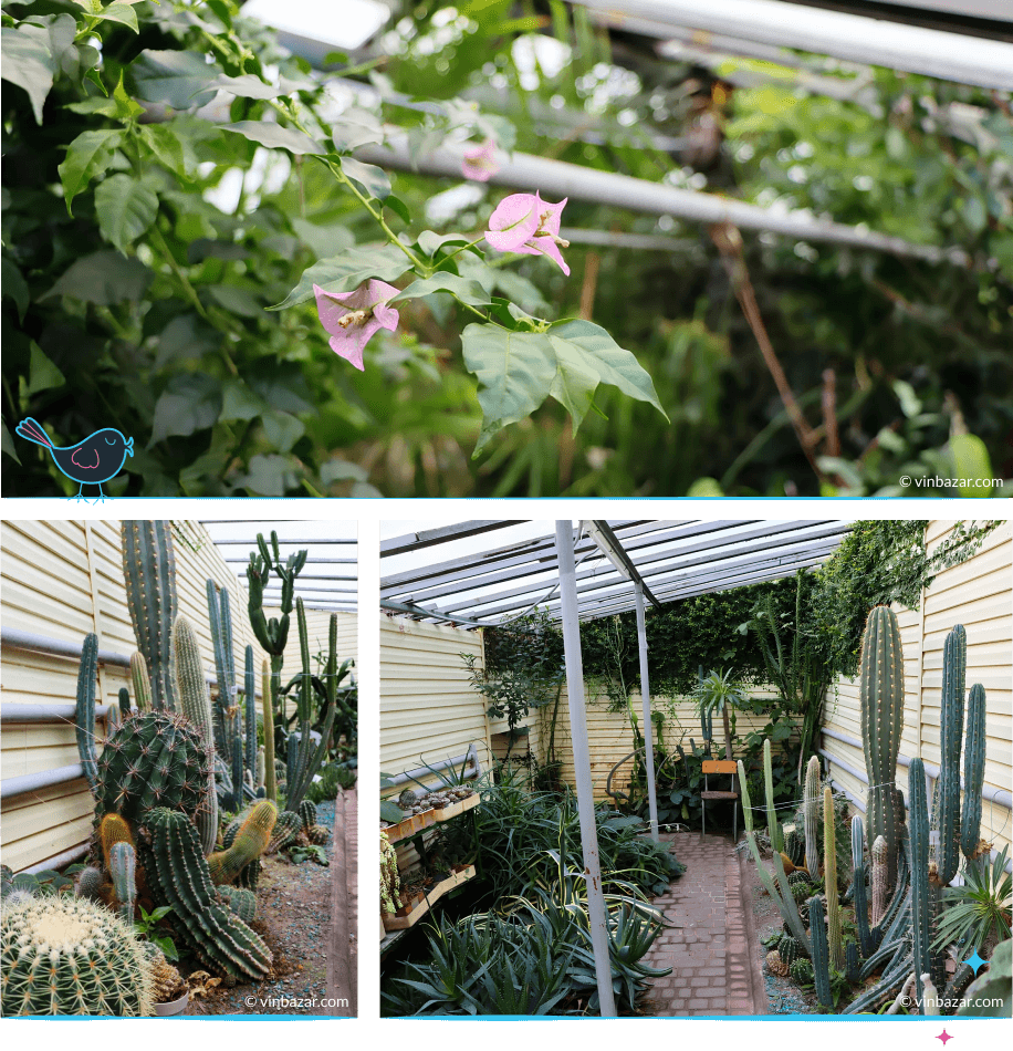 локации Винница