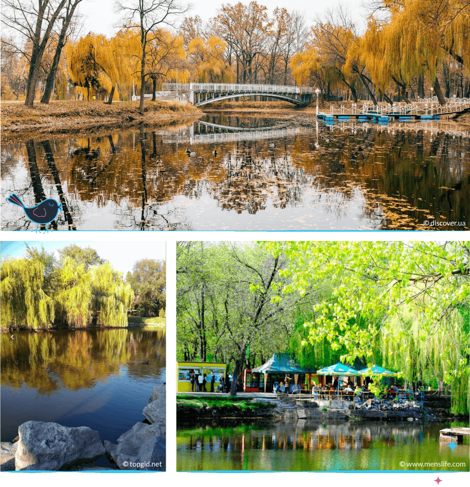 локации Запорожья