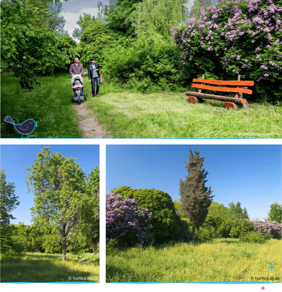 локации Запорожья