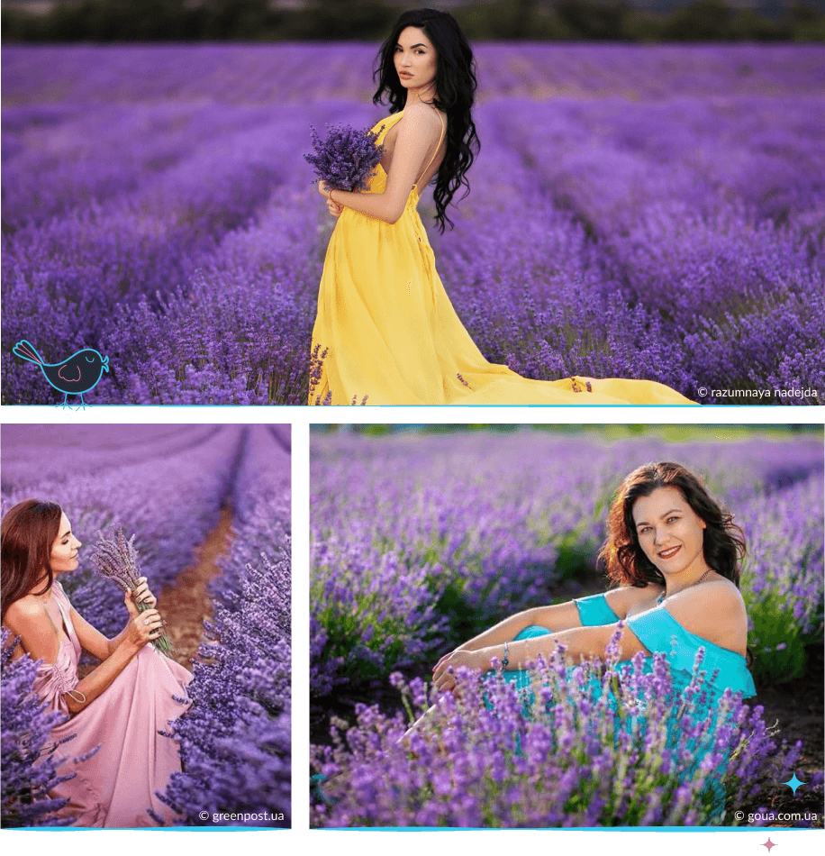 локации Запорожья